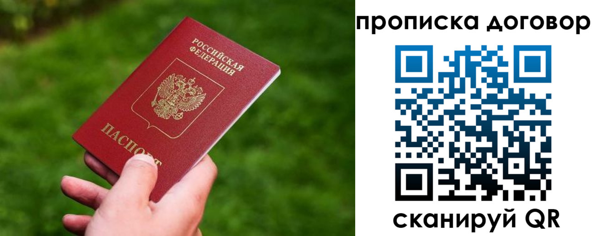 прописка гарантия в Киришах